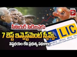 Are These 7 Government-Backed Schemes the SECUREST Investment for Seniors | Money Popular TV