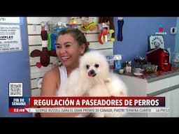 Registro de paseadores de perros y de animales de compañía están estancados