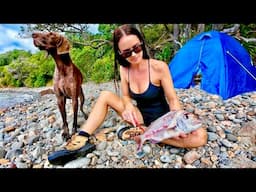 Camping Deep in the New Zealand Coastline Eating What We Catch