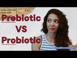 Prebiotics and Probiotics in Pet Nutrition