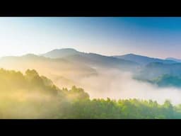 Mindful Meditations  - Breathing Awareness
