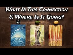 🤔 What Is This Connection & Where Is It Going? 💕♥️  Pick A Card Love Reading