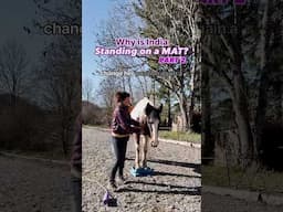 Mat Work Part 2!  #horsetrainingtips #horsecare
