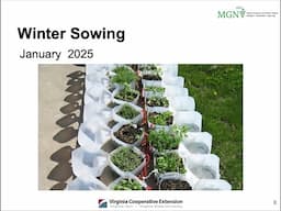 Winter Sowing 2025