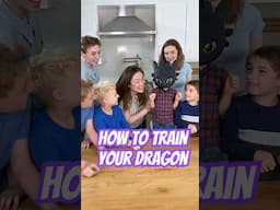 PR Box Haul: How to Train Your Dragon | Ballinger Family #howtotrainyourdragon