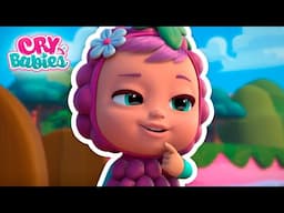 Best Episodes of Cry babies and their BFFs! | Cry Babies Magic Tears 👶