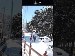 शिमला, हिमाचल प्रदेश, Shimla Trip #shimla #shimlavlog #traveltracker #hillstation #summervacation