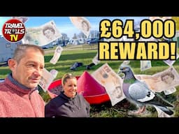 Are We Getting A Racing Pigeon? £65,000 REWARD!