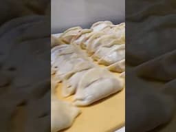 MAG1030 - Machine à gyoza