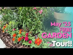 May '25 Front Garden Tour! North Texas Garden Full of May Blooms!