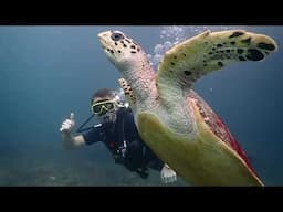 Scuba diving Racha Noi Scuba Diving 2025 06 08