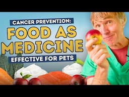 Food as Medicine: Anti-Cancer Diets for Dogs