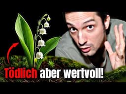 Diese Pflanze sorgt für die meisten Vergiftungen in Deutschland