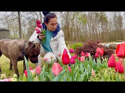 Rainy Day | Garden Work | Tea Break | Our Dinner | Heghineh