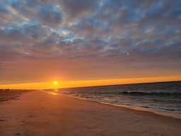 Opie Escapes the City for the Ocean | Opie Radio podcast