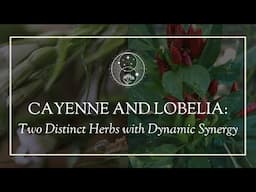 Cayenne and Lobelia: Two Distinct Herbs with Dynamic Synergy