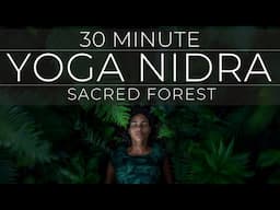 30 Minute Yoga Nidra | Peaceful Sacred Forest