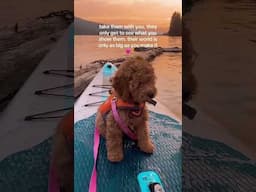 live a little, buddy!☀️✨👙