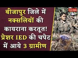 CG Naxal News: Bijapurजिले में नक्सलियों की कायराना करतूत!प्रेशर IED की चपेट में आये 3 ग्रामीण