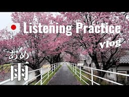 Rainy Days| Japanese Listening Practice