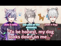 【ENG SUB】Fuwa, Kaida and Kuzuha Talk About Keeping Pets【Fuwa Minato / Kaida Haru / Kuzuha】