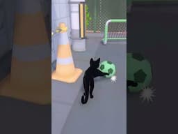 My First Goal in Little Kitty Big City Short