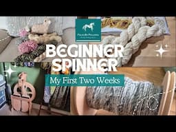 🛞🧶Can I get to grips with my new Ashford spinning wheel?🛞🧶
