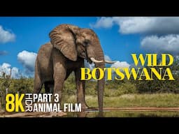 8K HDR Wild Botswana - Narrated Documentary - Interesting Facts about Animals of South Africa - #3