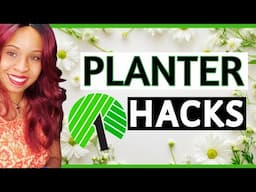 4  Genius Ideas for Dollar Tree Planters You Must Try