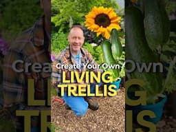 Vertical Gardening: 5 Living Trellis Plants & What to Pair With Them