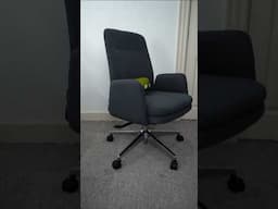 Branch Softside Chair Review #shorts