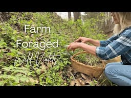 Wild Violet Simple Syrup | Farmhouse Foraged Recipes