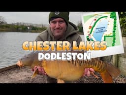 Epic Winter Carp Fishing at Chester Lakes!