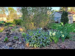 Early May Garden Tour, Minnesota Zone 5a