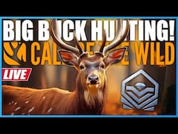 NEW Diamond Grind! Let's Hunt! | theHunter Call Of The Wild