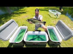 Stocking 15 PET TROPHY BASS To our NEW POND!! (Fishermans Candy Store)