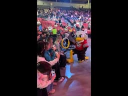 Take a look at Sparky's rizz!