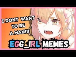 TRANS Memes for Eggs! ft. @VioletTheVampir3