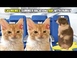 CAT MEMES SUMMER VACATION TRIP WITH FAMILY
