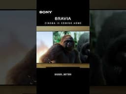 Sony | 2025 BRAVIA Home Theatre Collection | Cinema is coming home | Bigger is better