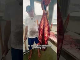 Good Ol’ Boy Gives Tuna Filet MASTERCLASS 🤯🤯