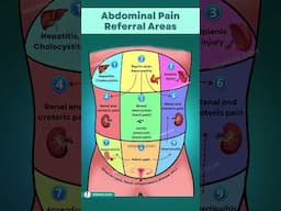 Abdominal Pain Referral Areas You Need to Know About NOW