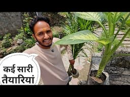 होमस्टे खोलने की तैयारियां लगातार जारी || Pahadi Lifestyle Vlog || Pahadi Biker || Alok Rana