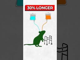 Scientists Extend Mice Lifespan by 30%