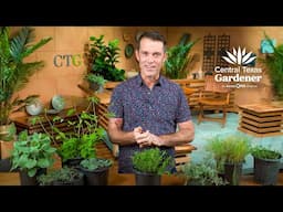 Native Groundcovers to Love in Sun and Shade: William Glenn
