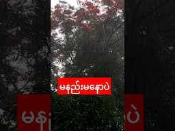 မိုး #experiencesharing