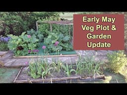 Allotment Diary : May Veg Plot Update & Tour.