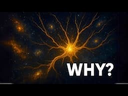 Why Does the Universe Look Like This?