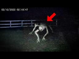 30 Most Convincing Skinwalker Encounters Caught on Camera (Part 2)