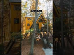 Any you would stay at? #montana #airbnbtreehouse